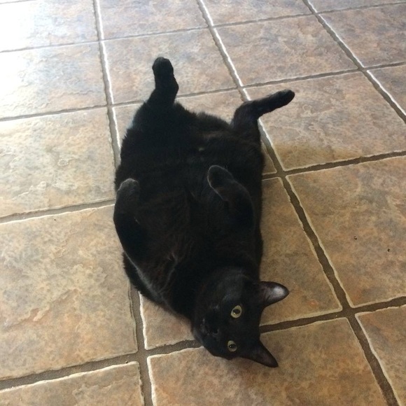 🖤 Thanks For Stopping By ! 🖤 - Picture 15 of 16